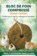 Chips carotte - Saveur_du_poulailler_et_du_clapier