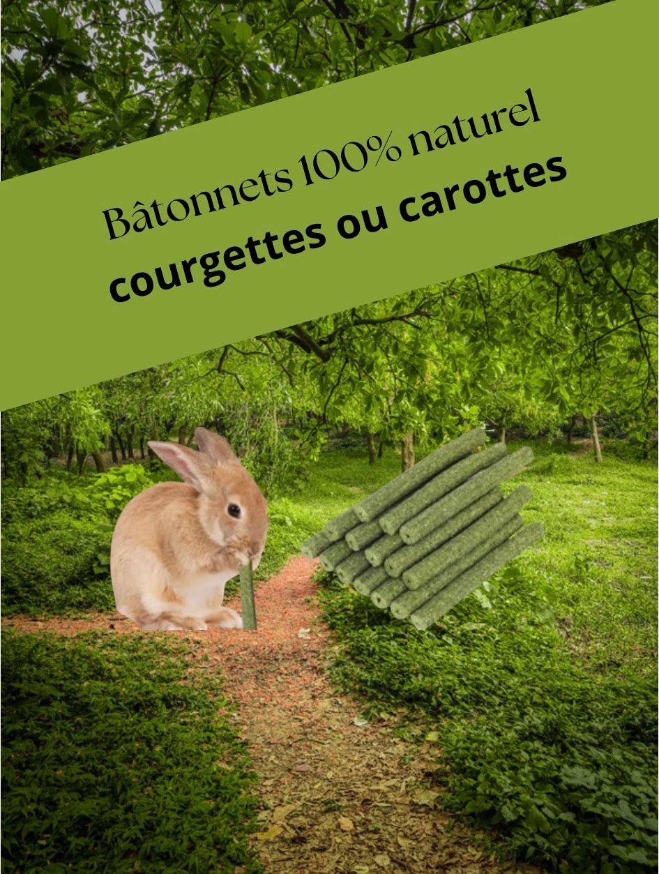 Chips carotte - Saveur_du_poulailler_et_du_clapier