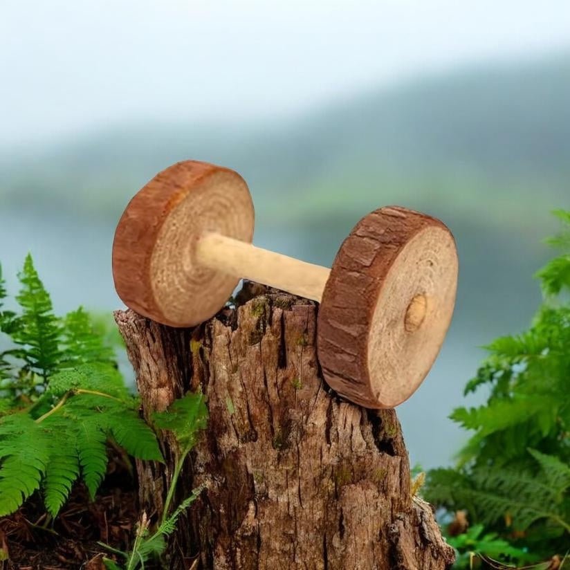 Chips carotte - Saveur_du_poulailler_et_du_clapier