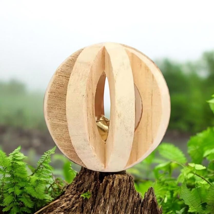 Chips carotte - Saveur_du_poulailler_et_du_clapier