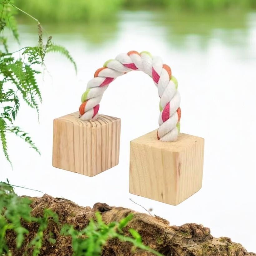 Chips carotte - Saveur_du_poulailler_et_du_clapier