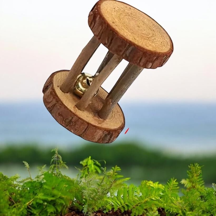 Chips carotte - Saveur_du_poulailler_et_du_clapier