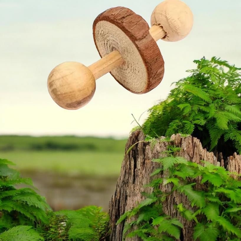 Chips carotte - Saveur_du_poulailler_et_du_clapier