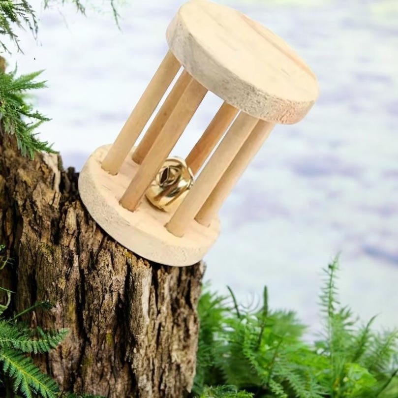 Chips carotte - Saveur_du_poulailler_et_du_clapier